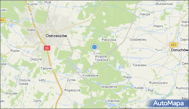 mapa Wygoda Tokarska, Wygoda Tokarska na mapie Targeo